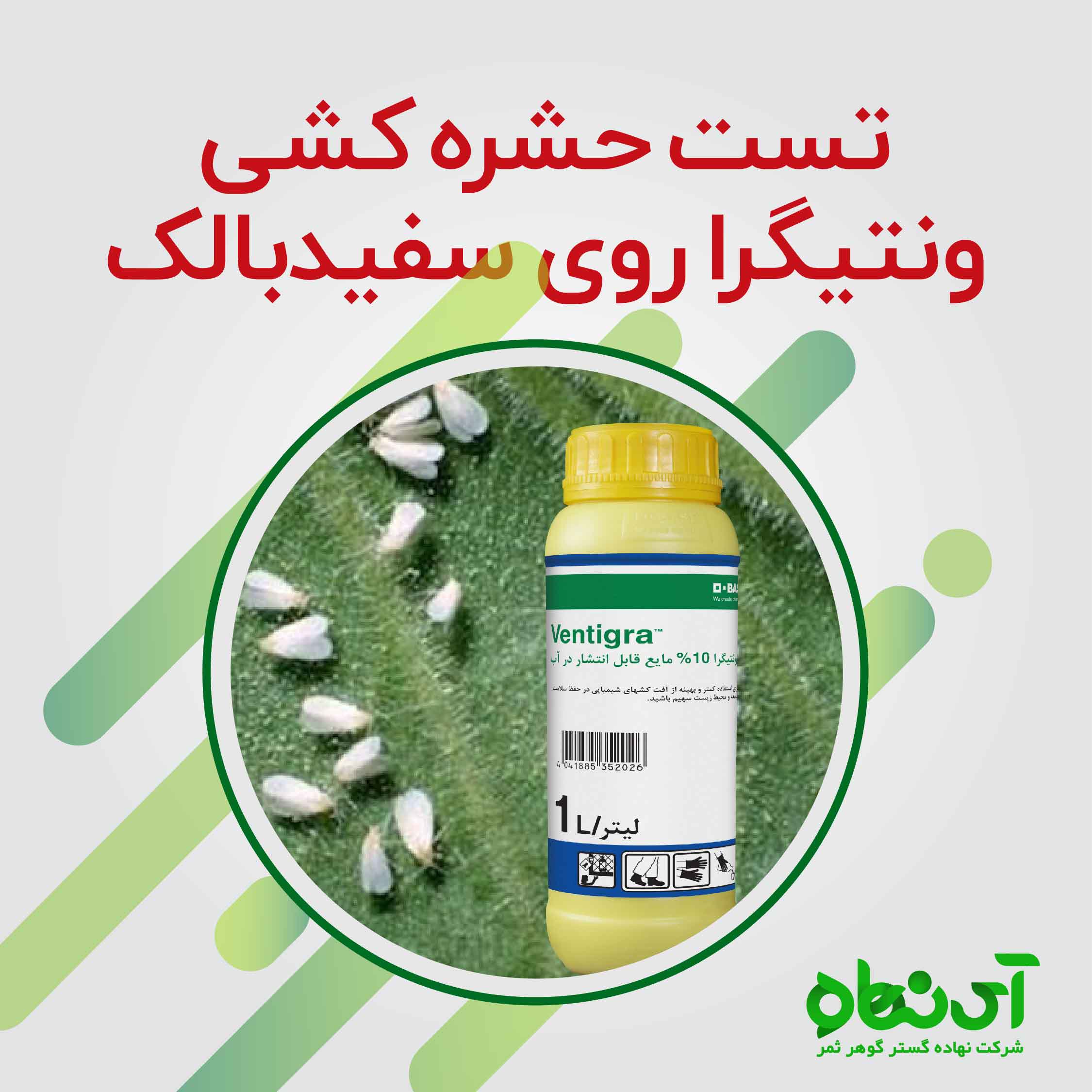 تست حشره کشی ونتیگرا روی سفیدبالک